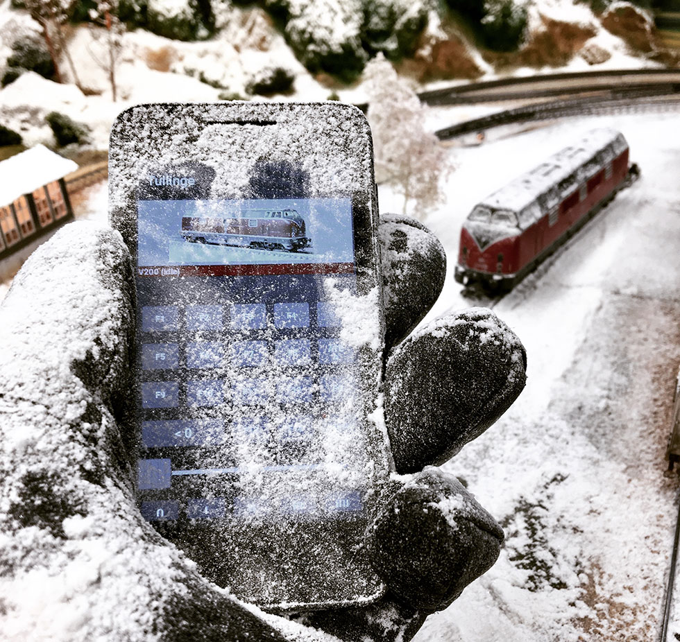 Have fun with friends operating the model railroad