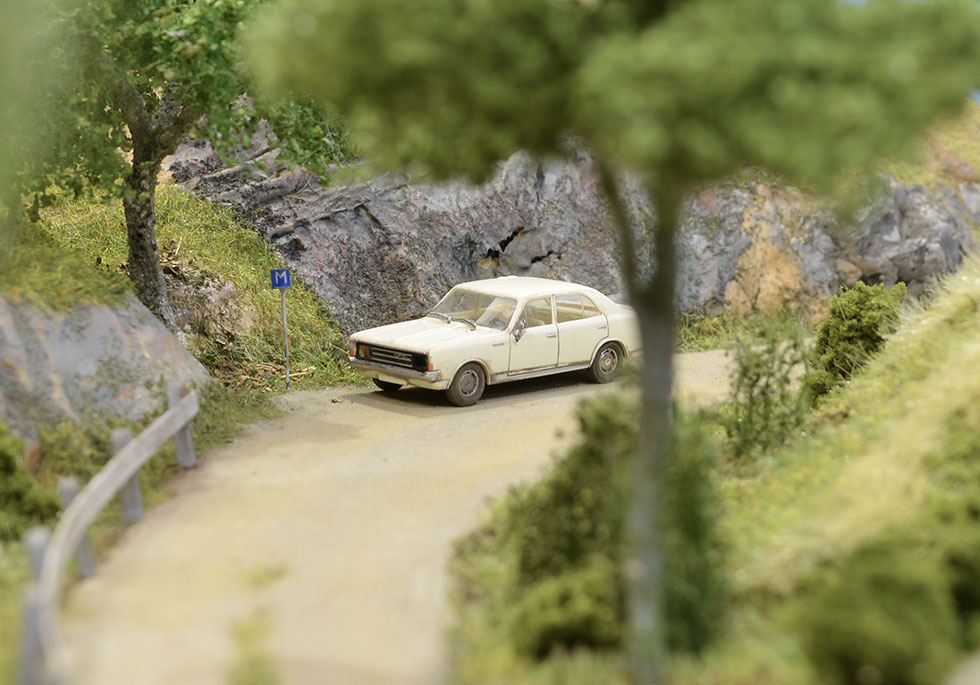 A gravel road through the forest